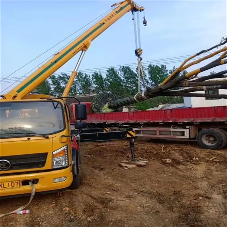 大冶100吨吊车租赁费用怎么算？3大关键因素+省钱技巧全解析